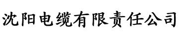 香蕉视频日韩在线观看电缆厂logo